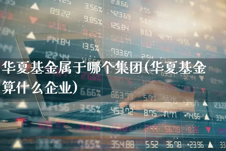 华夏基金属于哪个集团(华夏基金算什么企业)_https://www.hhem8.com_深交所_第1张