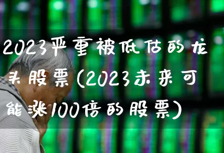 2023严重被低估的龙头股票(2023未来可能涨100倍的股票)_https://www.hhem8.com_创业板_第1张