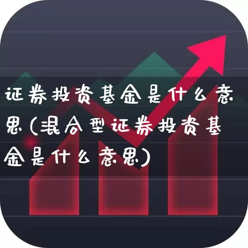 证券投资基金是什么意思(混合型证券投资基金是什么意思)_https://www.hhem8.com_创业板_第1张