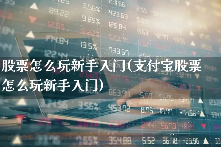股票怎么玩新手入门(支付宝股票怎么玩新手入门)_https://www.hhem8.com_科创板_第1张