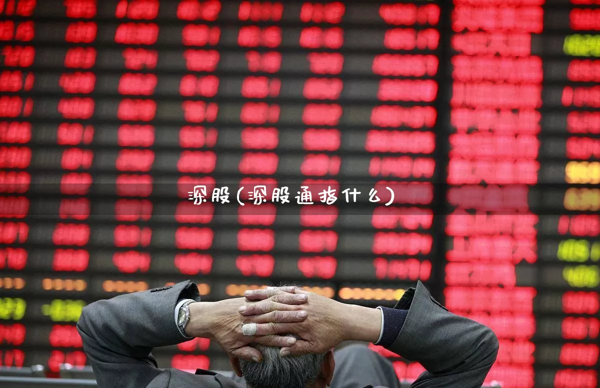 深股(深股通指什么)_https://www.hhem8.com_深交所_第1张