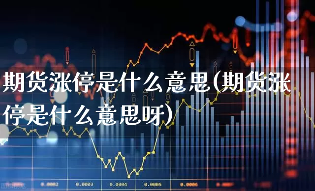 期货涨停是什么意思(期货涨停是什么意思呀)_https://www.hhem8.com_上交所_第1张