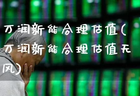 万润新能合理估值(万润新能合理估值无风)_https://www.hhem8.com_深交所_第1张