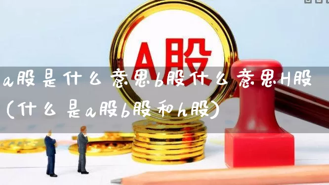a股是什么意思b股什么意思H股(什么是a股b股和h股)_https://www.hhem8.com_科创板_第1张