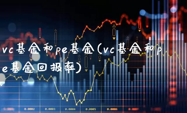 vc基金和pe基金(vc基金和pe基金回报率)_https://www.hhem8.com_深交所_第1张