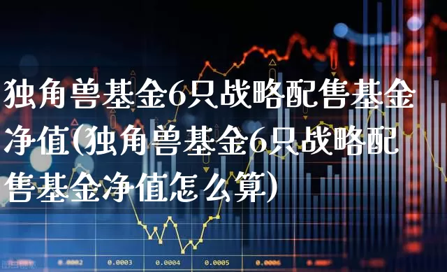 独角兽基金6只战略配售基金净值(独角兽基金6只战略配售基金净值怎么算)_https://www.hhem8.com_深交所_第1张