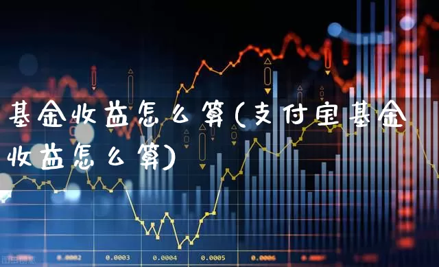 基金收益怎么算(支付宝基金收益怎么算)_https://www.hhem8.com_深交所_第1张
