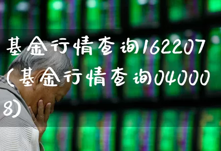 基金行情查询162207(基金行情查询040008)_https://www.hhem8.com_科创板_第1张