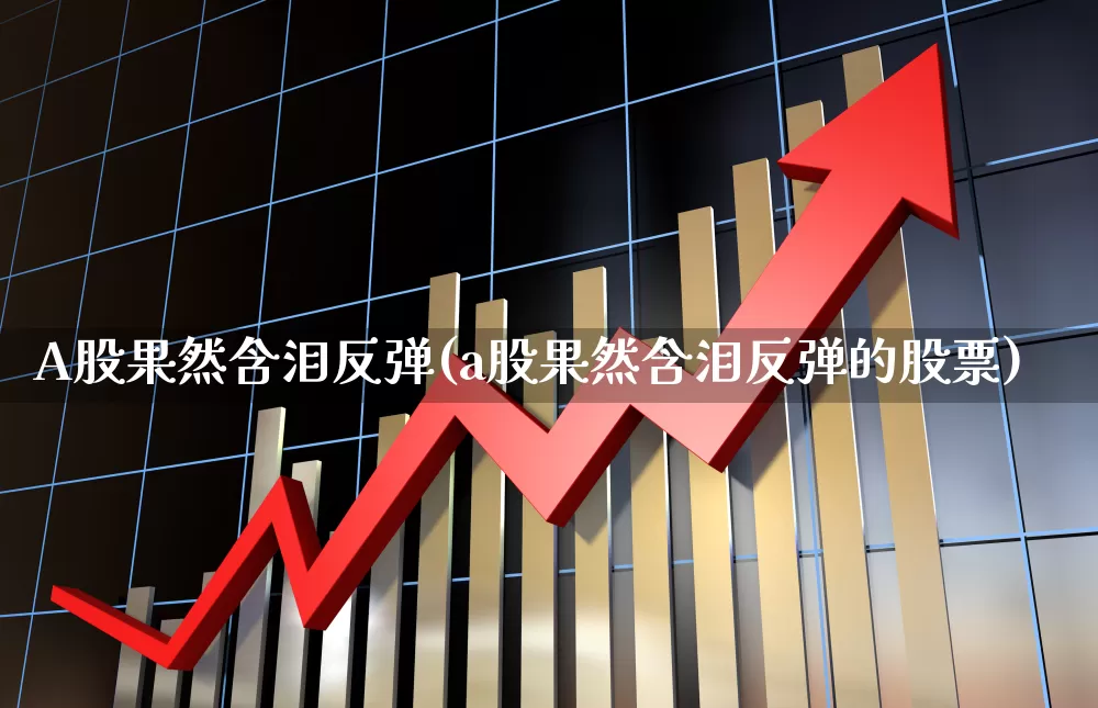 A股果然含泪反弹(a股果然含泪反弹的股票)_https://www.hhem8.com_科创板_第1张