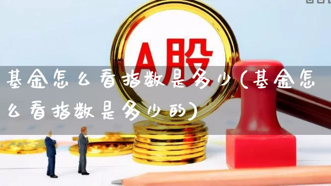 基金怎么看指数是多少(基金怎么看指数是多少的)_https://www.hhem8.com_科创板_第1张