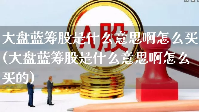 大盘蓝筹股是什么意思啊怎么买(大盘蓝筹股是什么意思啊怎么买的)_https://www.hhem8.com_创业板_第1张