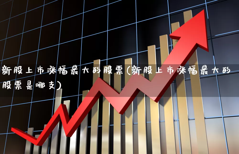 新股上市涨幅最大的股票(新股上市涨幅最大的股票是哪支)_https://www.hhem8.com_北交所_第1张
