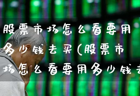 股票市场怎么看要用多少钱去买(股票市场怎么看要用多少钱去买的)_https://www.hhem8.com_科创板_第1张