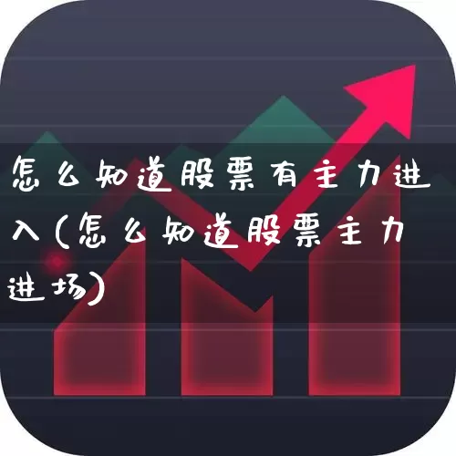 怎么知道股票有主力进入(怎么知道股票主力进场)_https://www.hhem8.com_北交所_第1张
