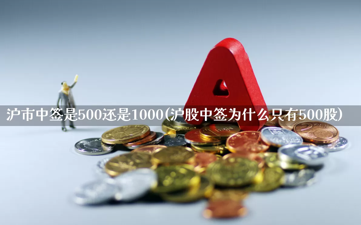 沪市中签是500还是1000(沪股中签为什么只有500股)_https://www.hhem8.com_上交所_第1张