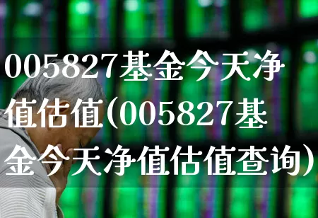 005827基金今天净值估值(005827基金今天净值估值查询)_https://www.hhem8.com_上交所_第1张