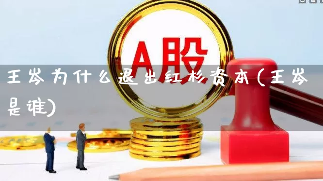 王岑为什么退出红杉资本(王岑是谁)_https://www.hhem8.com_科创板_第1张