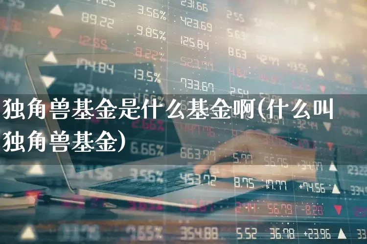 独角兽基金是什么基金啊(什么叫独角兽基金)_https://www.hhem8.com_北交所_第1张
