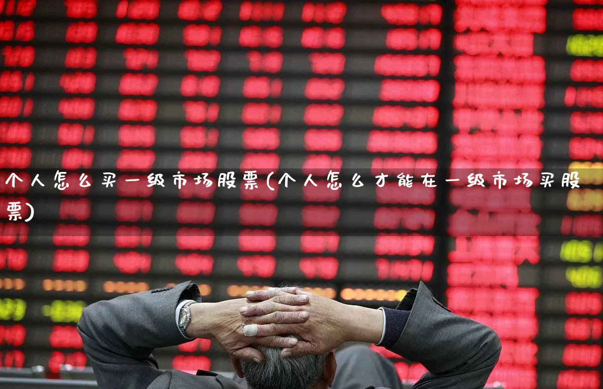 个人怎么买一级市场股票(个人怎么才能在一级市场买股票)_https://www.hhem8.com_科创板_第1张
