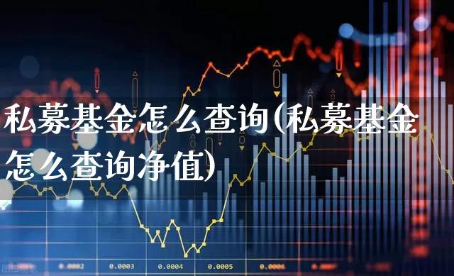 私募基金怎么查询(私募基金怎么查询净值)_https://www.hhem8.com_创业板_第1张