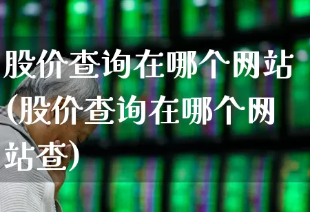 股价查询在哪个网站(股价查询在哪个网站查)_https://www.hhem8.com_北交所_第1张