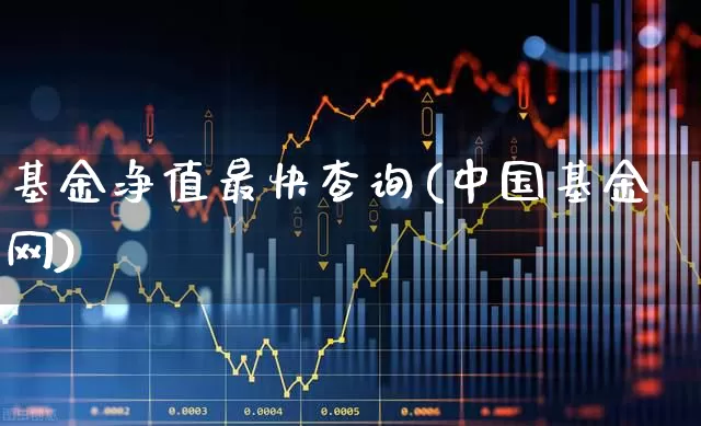 基金净值最快查询(中国基金网)_https://www.hhem8.com_创业板_第1张
