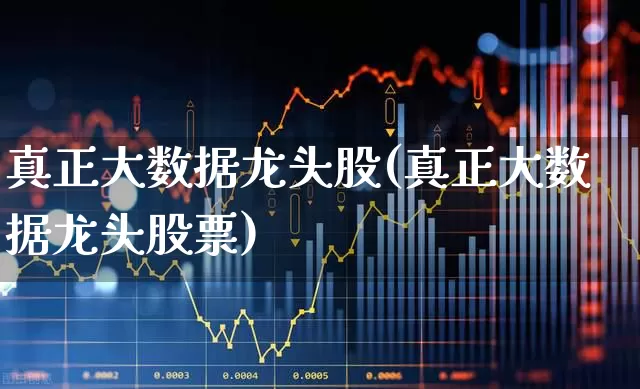 真正大数据龙头股(真正大数据龙头股票)_https://www.hhem8.com_科创板_第1张