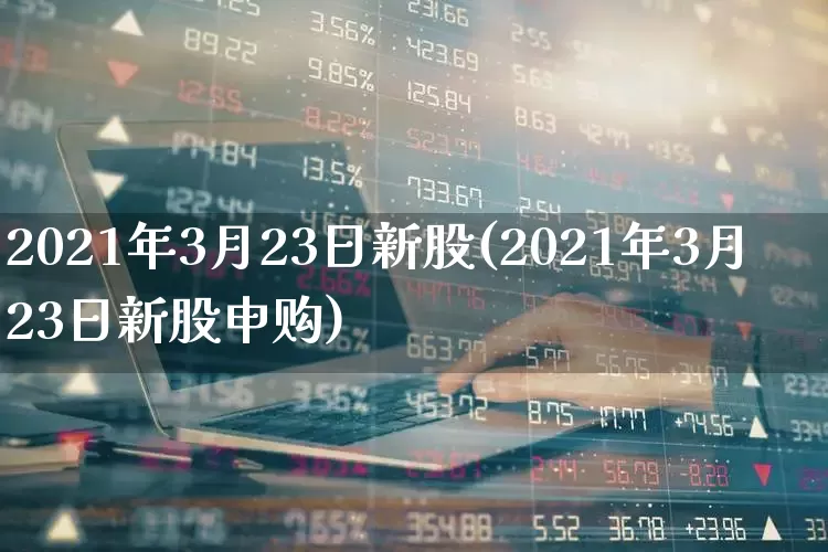 2021年3月23日新股(2021年3月23日新股申购)_https://www.hhem8.com_北交所_第1张
