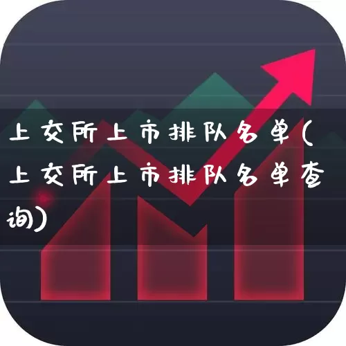 上交所上市排队名单(上交所上市排队名单查询)_https://www.hhem8.com_上交所_第1张