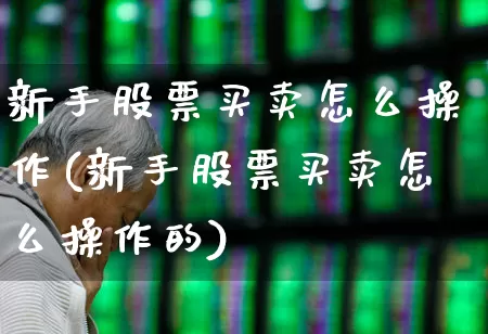 新手股票买卖怎么操作(新手股票买卖怎么操作的)_https://www.hhem8.com_科创板_第1张