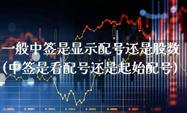 一般中签是显示配号还是股数(中签是看配号还是起始配号)_https://www.hhem8.com_北交所_第1张