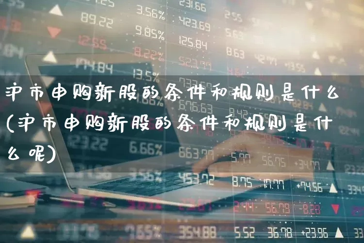 沪市申购新股的条件和规则是什么(沪市申购新股的条件和规则是什么呢)_https://www.hhem8.com_深交所_第1张