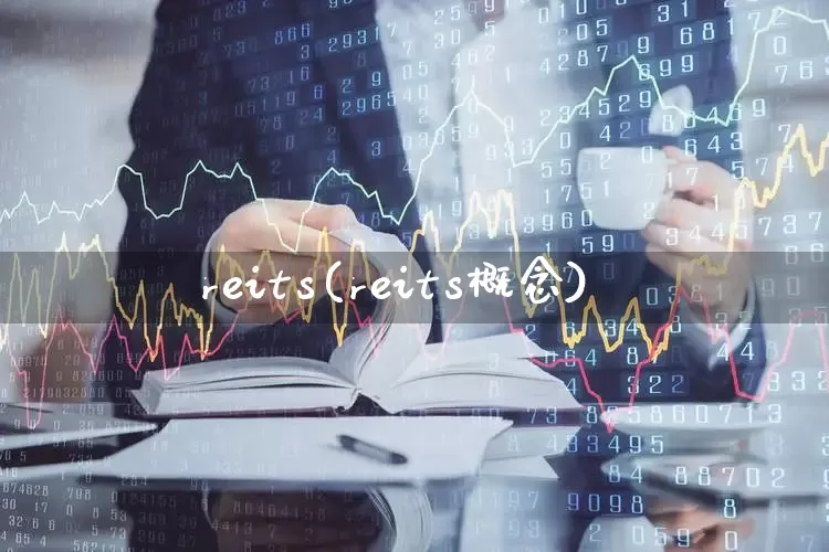 reits(reits概念)_https://www.hhem8.com_深交所_第1张
