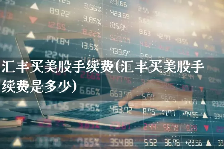汇丰买美股手续费(汇丰买美股手续费是多少)_https://www.hhem8.com_科创板_第1张