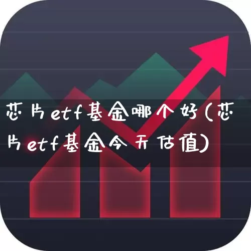 芯片etf基金哪个好(芯片etf基金今天估值)_https://www.hhem8.com_科创板_第1张