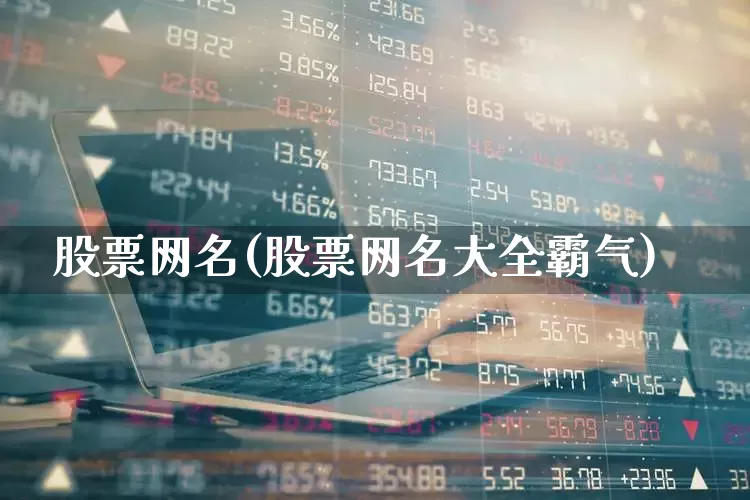 股票网名(股票网名大全霸气)_https://www.hhem8.com_科创板_第1张