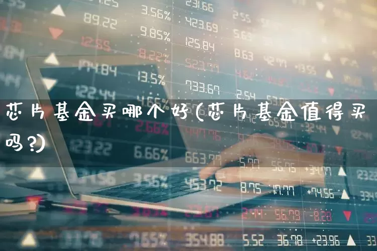 芯片基金买哪个好(芯片基金值得买吗?)_https://www.hhem8.com_上交所_第1张
