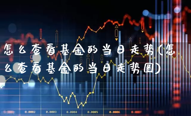怎么查看基金的当日走势(怎么查看基金的当日走势图)_https://www.hhem8.com_上交所_第1张