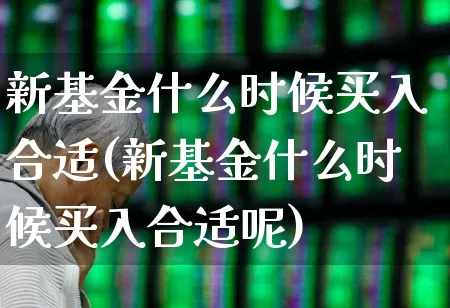新基金什么时候买入合适(新基金什么时候买入合适呢)_https://www.hhem8.com_科创板_第1张
