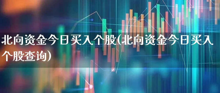 北向资金今日买入个股(北向资金今日买入个股查询)_https://www.hhem8.com_科创板_第1张