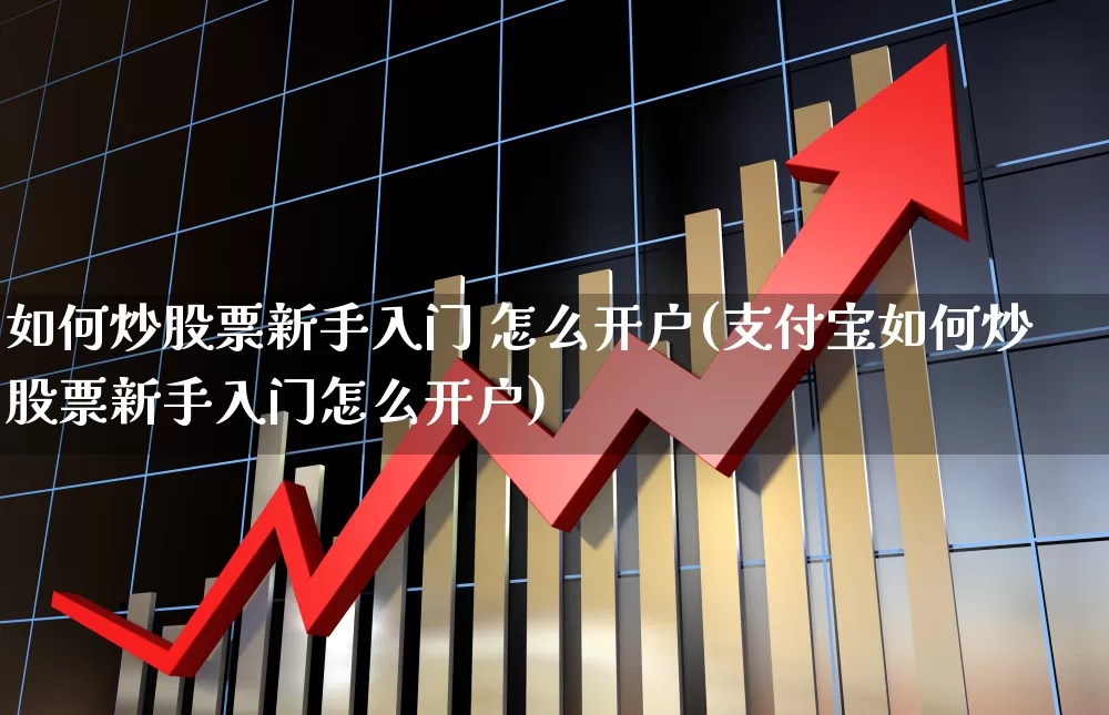 如何炒股票新手入门 怎么开户(支付宝如何炒股票新手入门怎么开户)_https://www.hhem8.com_科创板_第1张