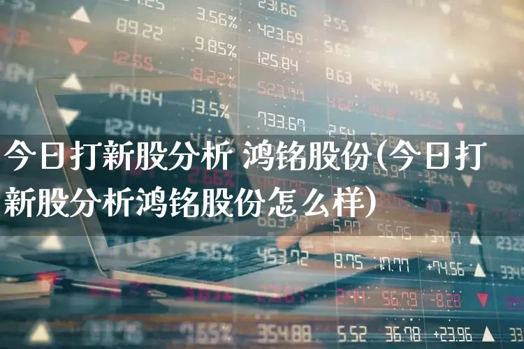 今日打新股分析 鸿铭股份(今日打新股分析鸿铭股份怎么样)_https://www.hhem8.com_创业板_第1张
