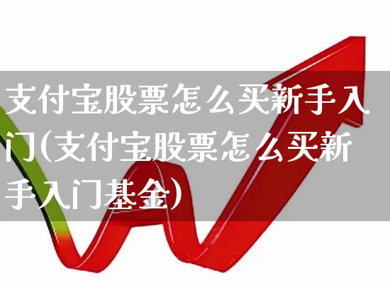 支付宝股票怎么买新手入门(支付宝股票怎么买新手入门基金)_https://www.hhem8.com_北交所_第1张