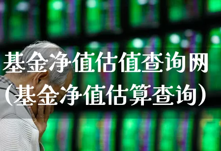 基金净值估值查询网(基金净值估算查询)_https://www.hhem8.com_北交所_第1张