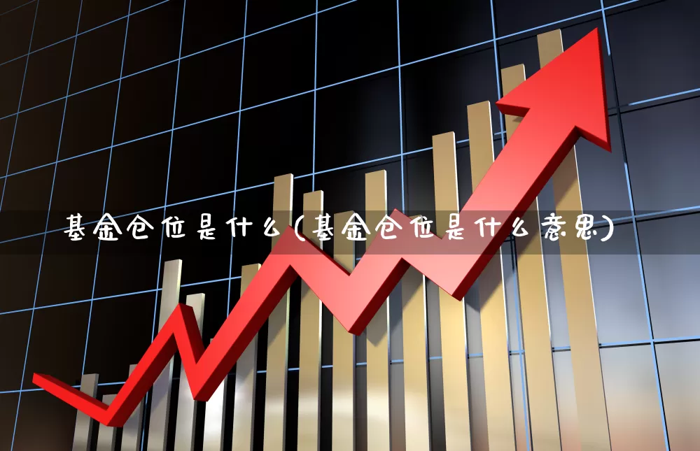 基金仓位是什么(基金仓位是什么意思)_https://www.hhem8.com_北交所_第1张