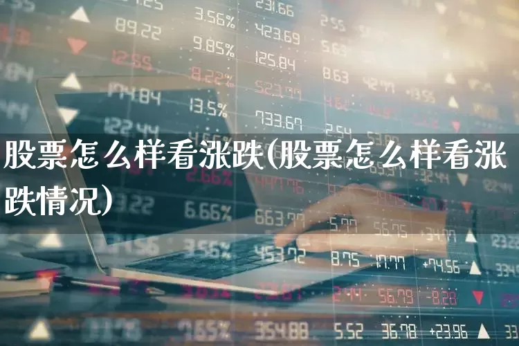 股票怎么样看涨跌(股票怎么样看涨跌情况)_https://www.hhem8.com_科创板_第1张