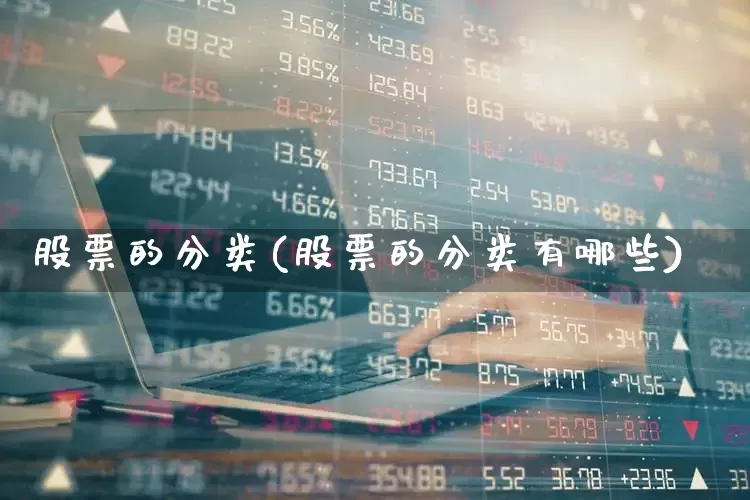 股票的分类(股票的分类有哪些)_https://www.hhem8.com_上交所_第1张