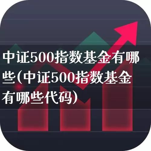 中证500指数基金有哪些(中证500指数基金有哪些代码)_https://www.hhem8.com_深交所_第1张