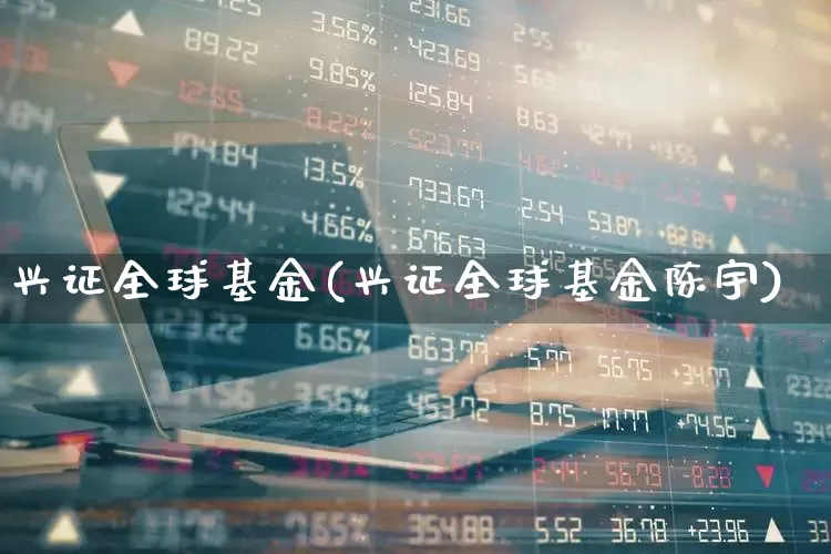 兴证全球基金(兴证全球基金陈宇)_https://www.hhem8.com_科创板_第1张