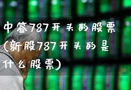 中签787开头的股票(新股787开头的是什么股票)_https://www.hhem8.com_北交所_第1张